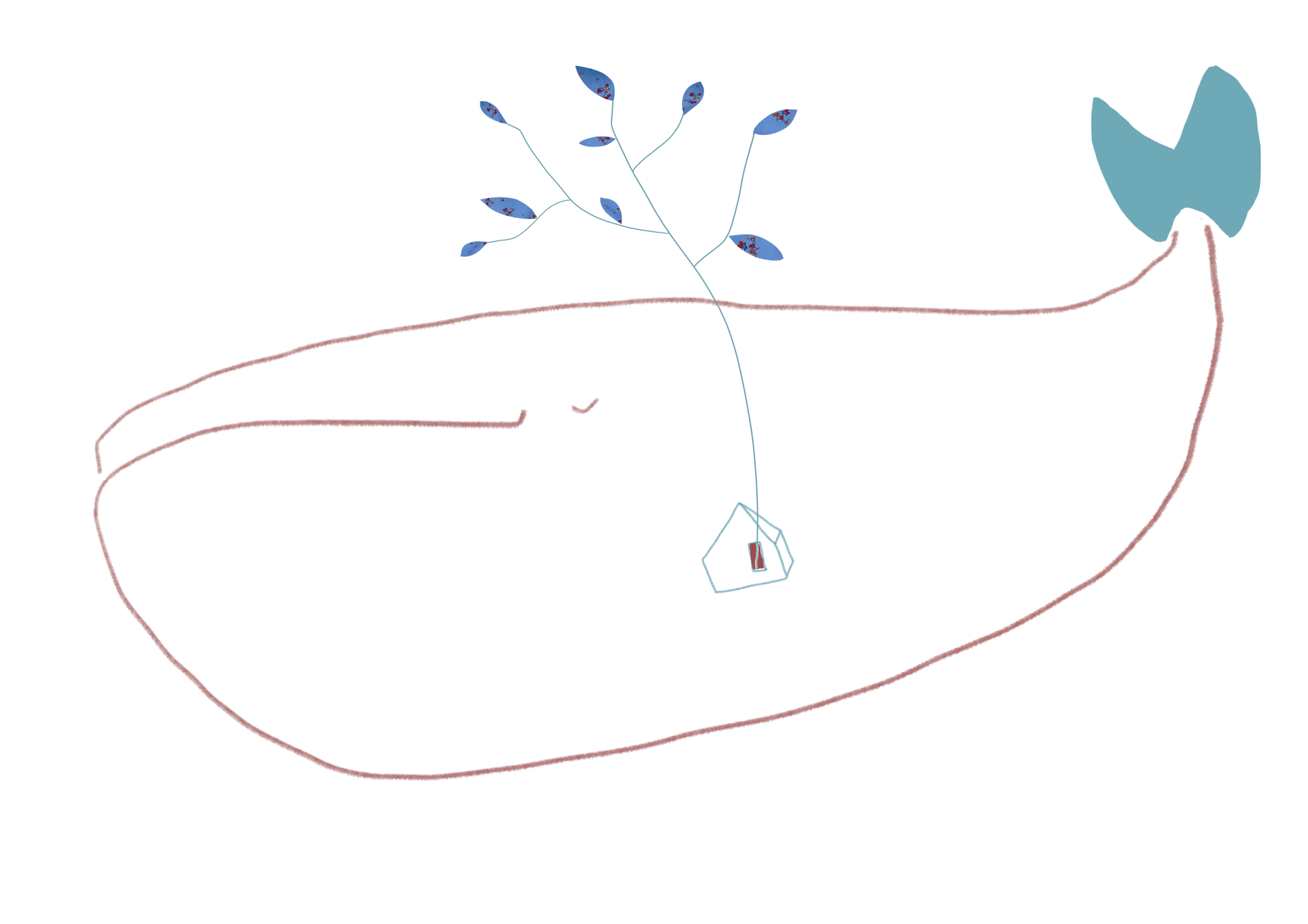 balena-eunice